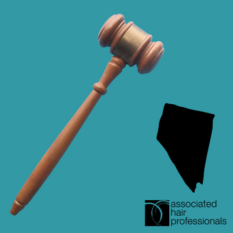 Brown gavel over teal background with shape of Nevada