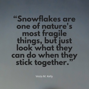 Snowflakes are one of nature's most fragile things, but