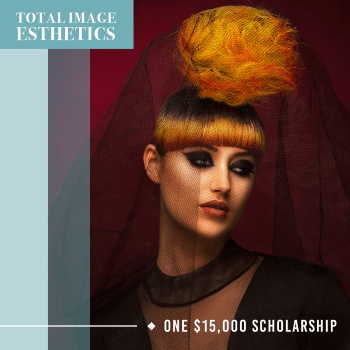 total image esthetics scholarship