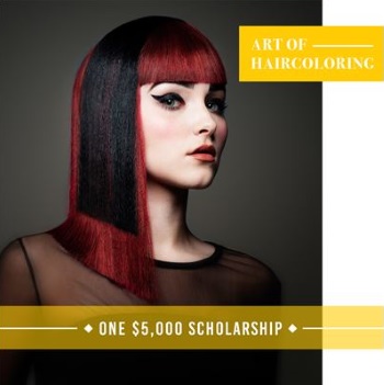 Art of haircoloring scholarship