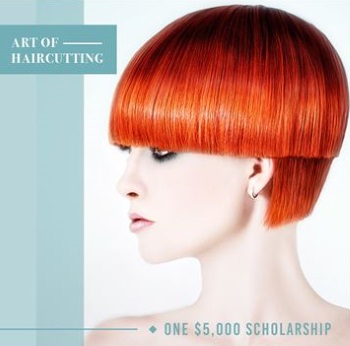 Art of haircutting scholarship