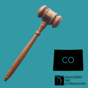 Brown gavel over teal text with shape of Colorado