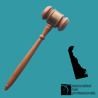 Brown gavel over teal background with shape of Delaware