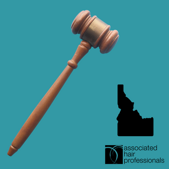 Brown gavel over teal background with shape of Idaho