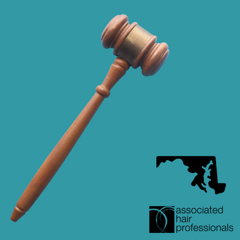 Brown gavel over teal background with shape of Maryland