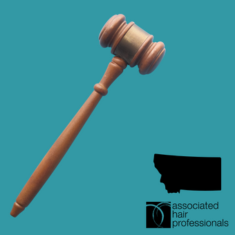 Brown gavel on teal background with black outline of Montana state.