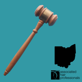 Brown gavel over teal background with shape of Ohio
