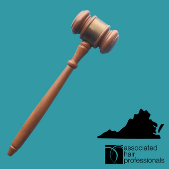 Brown gavel over teal background with shape of Virginia