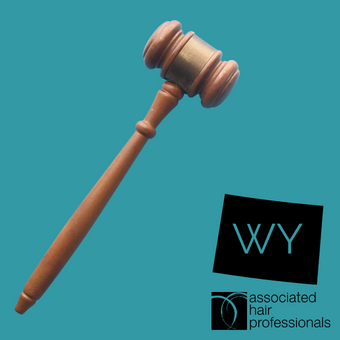 Brown gavel over teal background with shape of Wyoming