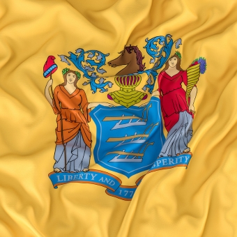 New Jersey state flag