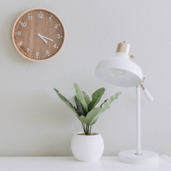 A stock image of clock lamp and plant