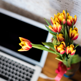 An image of yellow and red flowers