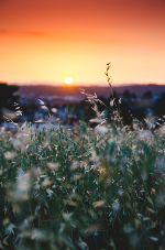 A sunrise symbolizes how we can move forward from the pandemic as hairstylists.