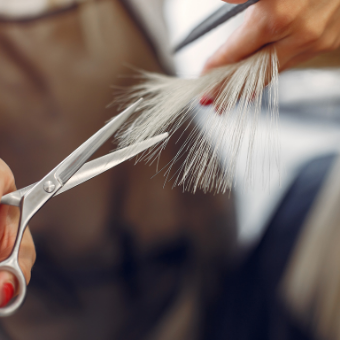 Hairdresser cuts split ends