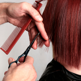 hairdresser cutting hair