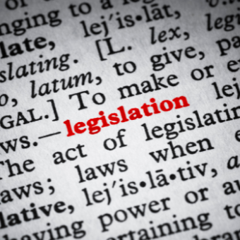 Dictionary definition of Legislation